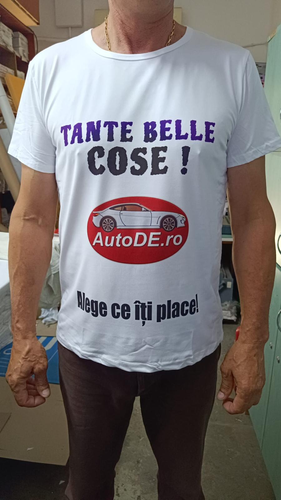 Descriere lucrare 12